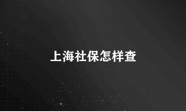 上海社保怎样查