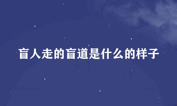 盲人走的盲道是什么的样子