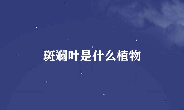斑斓叶是什么植物