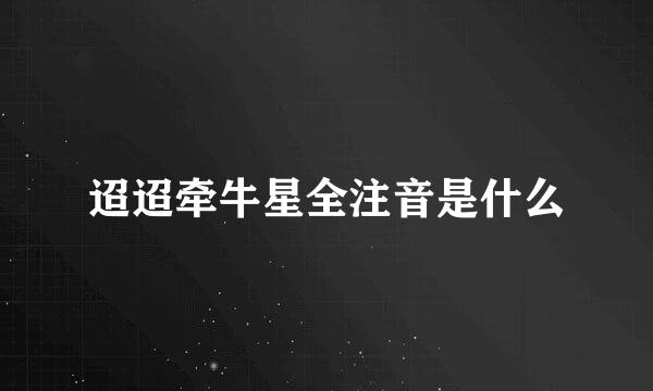 迢迢牵牛星全注音是什么