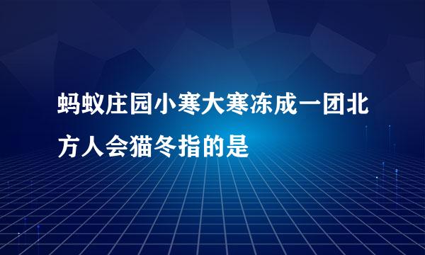 蚂蚁庄园小寒大寒冻成一团北方人会猫冬指的是