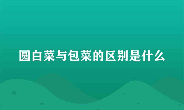 圆白菜与包菜的区别是什么