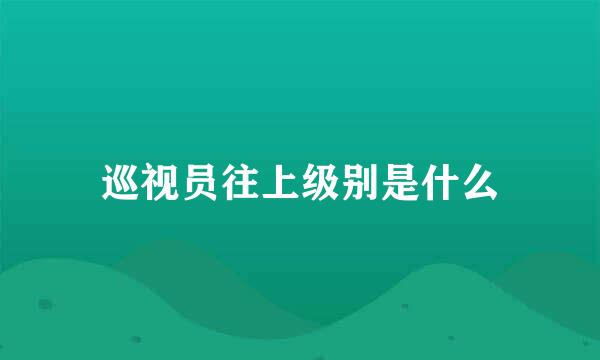 巡视员往上级别是什么