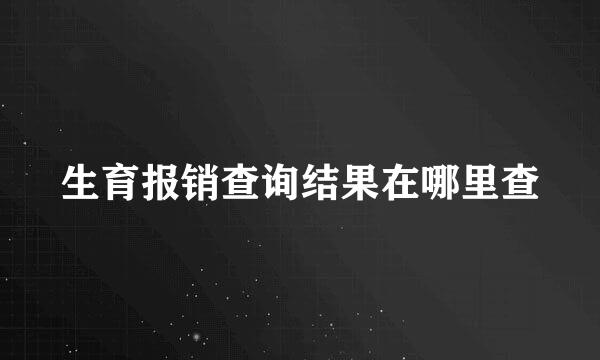 生育报销查询结果在哪里查