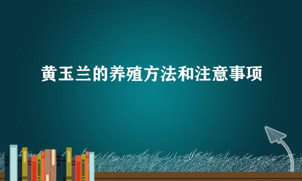 黄玉兰的养殖方法和注意事项