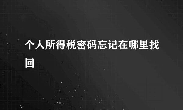 个人所得税密码忘记在哪里找回