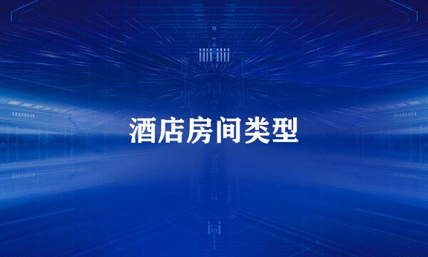 酒店房间类型