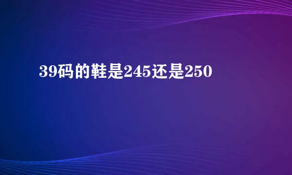 39码的鞋是245还是250