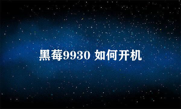 黑莓9930 如何开机