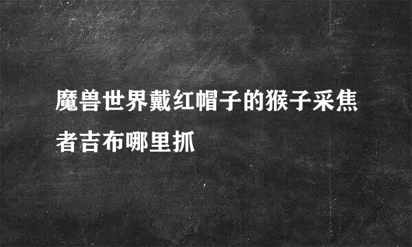 魔兽世界戴红帽子的猴子采焦者吉布哪里抓