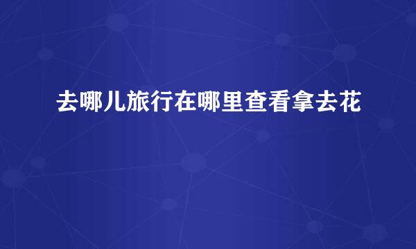 去哪儿旅行在哪里查看拿去花