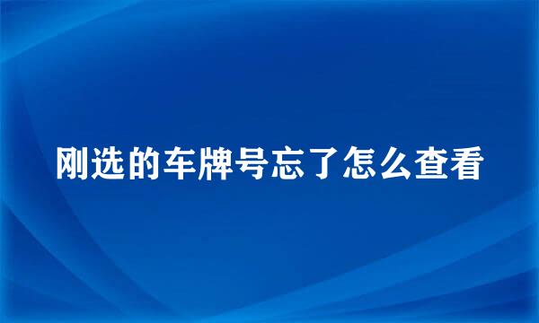 刚选的车牌号忘了怎么查看