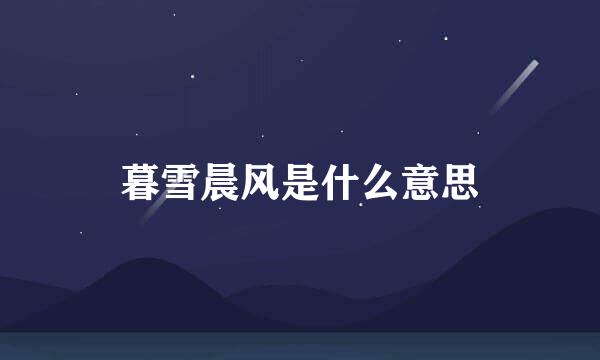暮雪晨风是什么意思