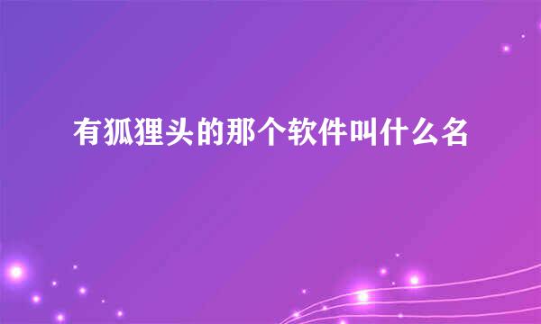 有狐狸头的那个软件叫什么名