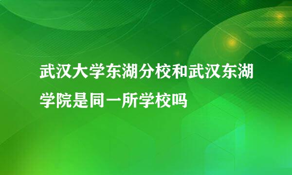 武汉大学东湖分校和武汉东湖学院是同一所学校吗