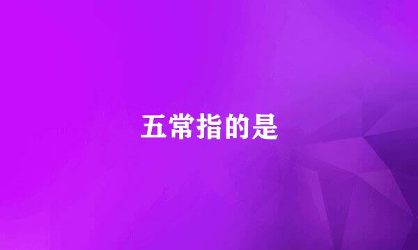 五常指的是