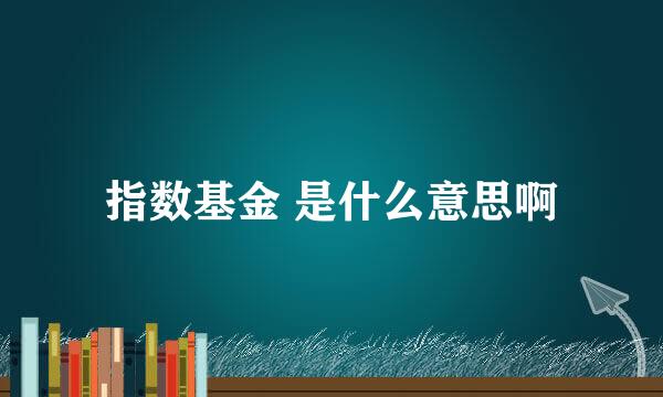 指数基金 是什么意思啊