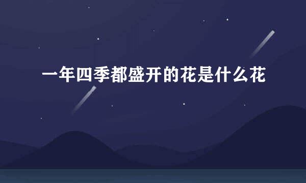 一年四季都盛开的花是什么花