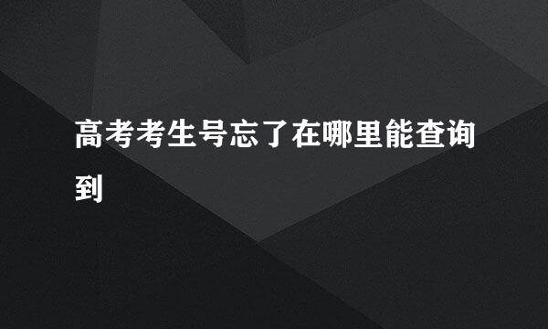 高考考生号忘了在哪里能查询到