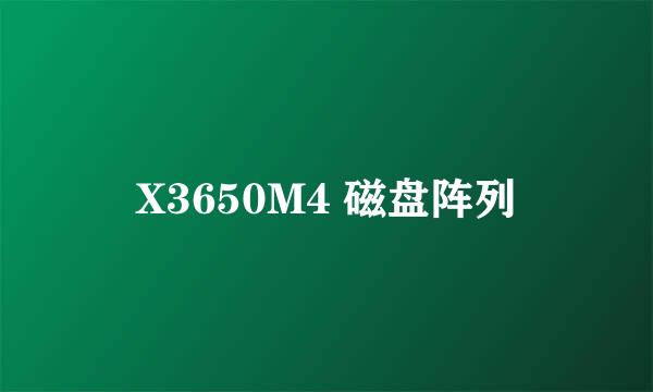 X3650M4 磁盘阵列