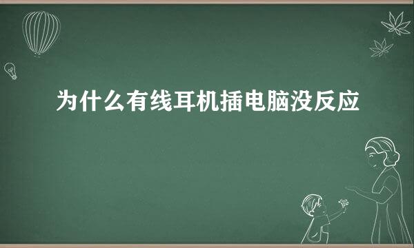 为什么有线耳机插电脑没反应