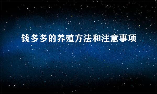 钱多多的养殖方法和注意事项