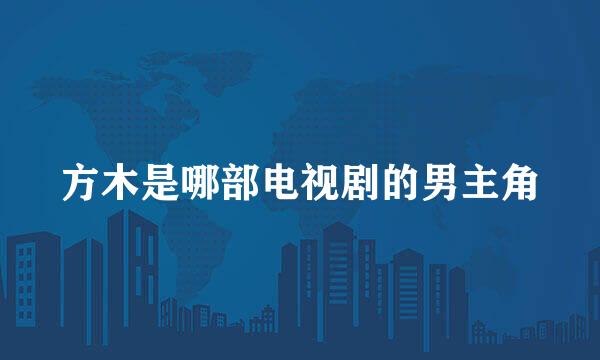 方木是哪部电视剧的男主角