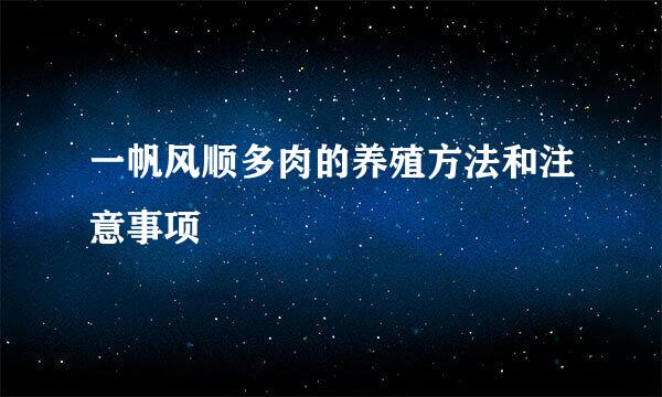 一帆风顺多肉的养殖方法和注意事项