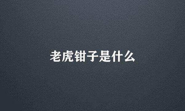 老虎钳子是什么