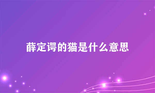 薛定谔的猫是什么意思