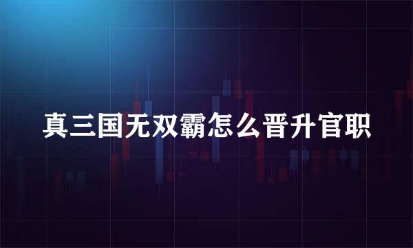 真三国无双霸怎么晋升官职