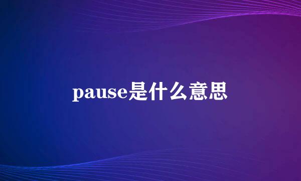 pause是什么意思