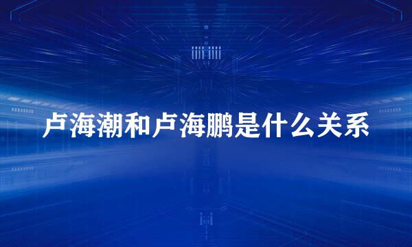 卢海潮和卢海鹏是什么关系