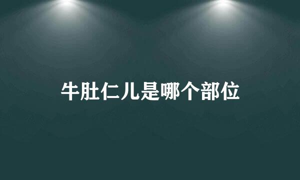 牛肚仁儿是哪个部位
