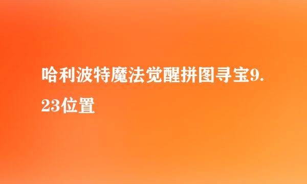 哈利波特魔法觉醒拼图寻宝9.23位置