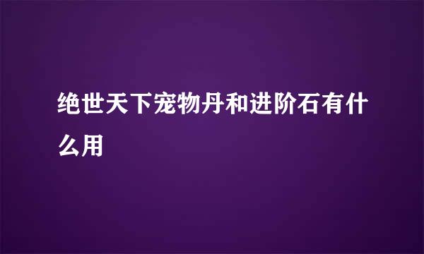 绝世天下宠物丹和进阶石有什么用
