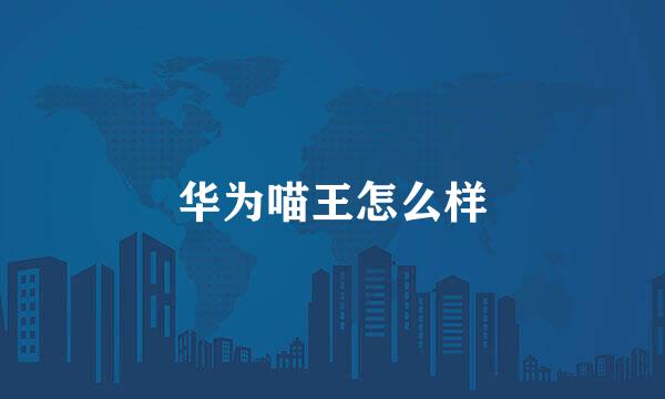 华为喵王怎么样