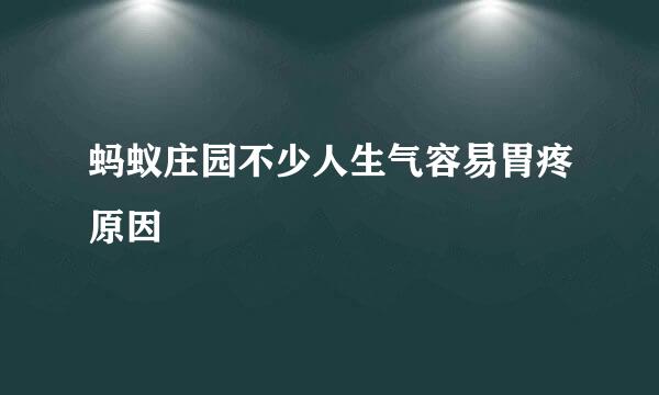 蚂蚁庄园不少人生气容易胃疼原因