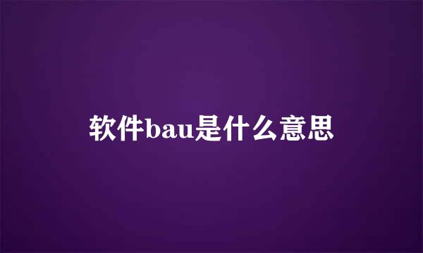 软件bau是什么意思