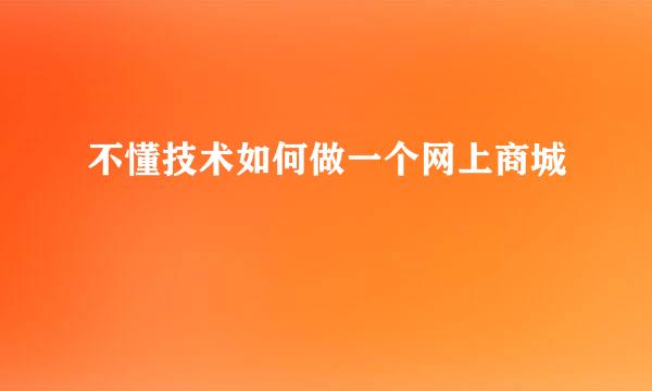 不懂技术如何做一个网上商城