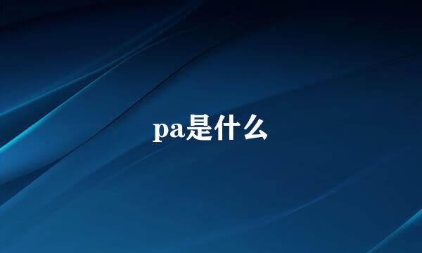 pa是什么