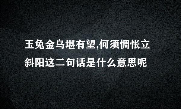 玉兔金乌堪有望,何须惆怅立斜阳这二句话是什么意思呢