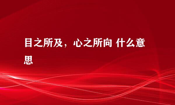 目之所及，心之所向 什么意思