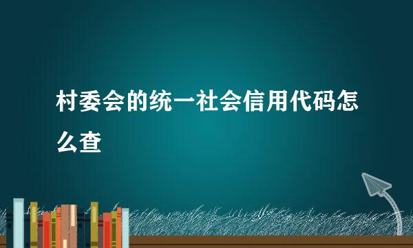 村委会的统一社会信用代码怎么查