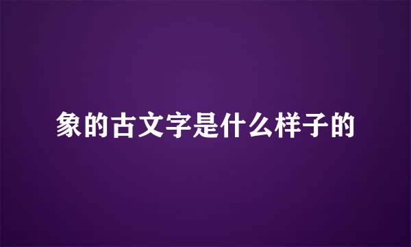 象的古文字是什么样子的
