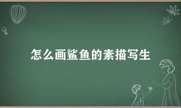怎么画鲨鱼的素描写生