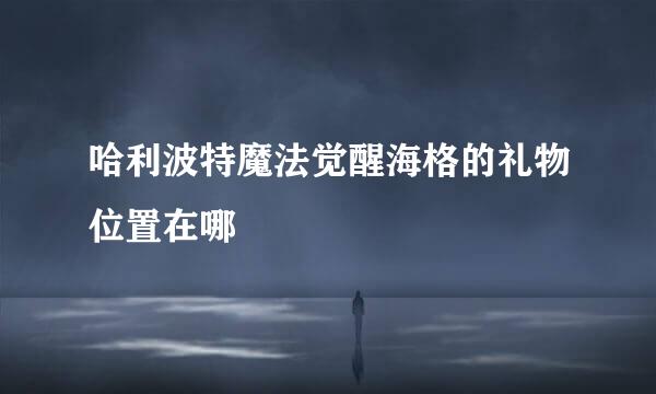 哈利波特魔法觉醒海格的礼物位置在哪