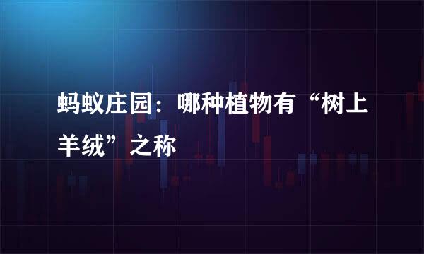 蚂蚁庄园：哪种植物有“树上羊绒”之称
