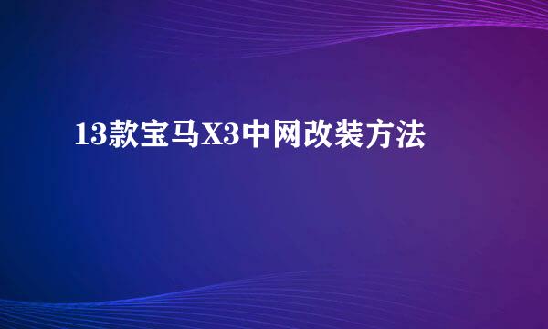 13款宝马X3中网改装方法