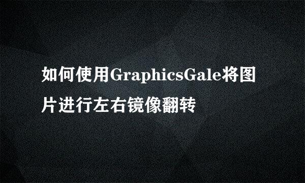 如何使用GraphicsGale将图片进行左右镜像翻转